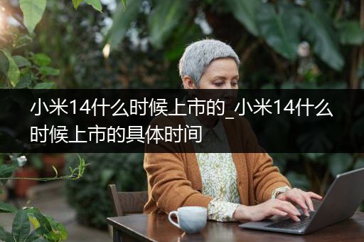 小米14什么时候上市的_小米14什么时候上市的具体时间